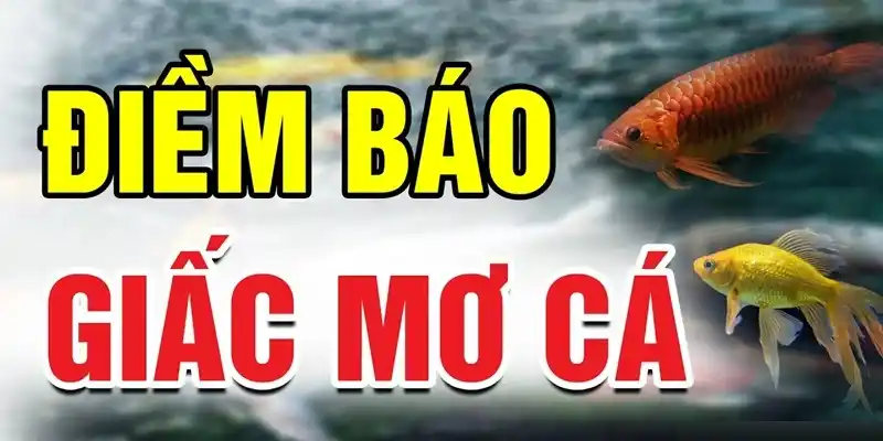 Mơ thấy cá có ý nghĩa gì?